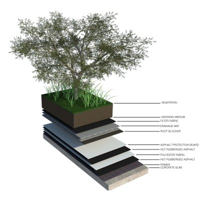 Web - In Depth Study Cover